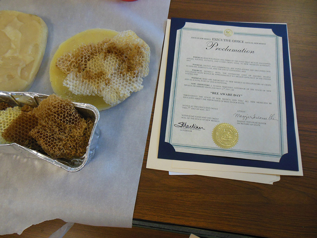 Bee Aware Day 2