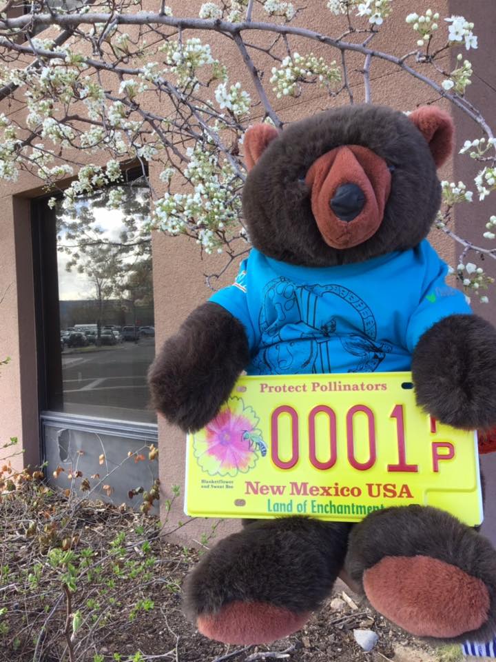 Image of bear holding the license plate.