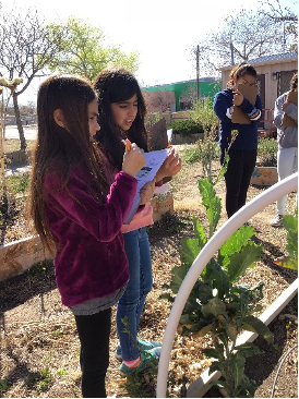 Wild Friends students taking notes by a garden