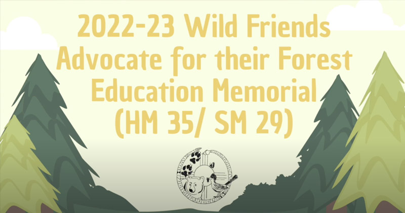 graphic of trees with the text 2022-23 wild friends advocate for their forest education memorial