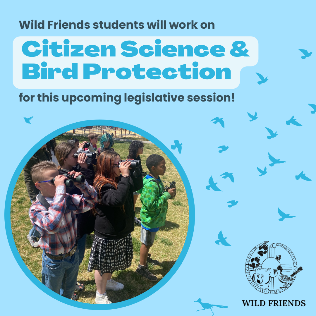 graphic with the text wild friends students will work on citizen science & bird protection for this upcoming legislative session