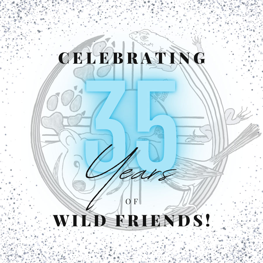 image of 35 years of Wild friends