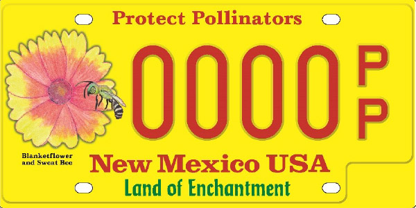 Graphic of the Wild Friends License Plate